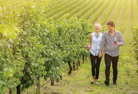 A couple walk through a vineyard