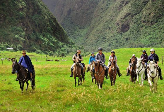 Hacienda Zuleta Horseback riding
