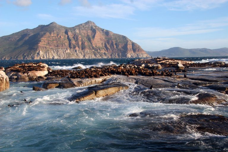 Duiker Island coast with waves crashing